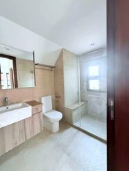 Holland Link (D10), Terrace #556148481